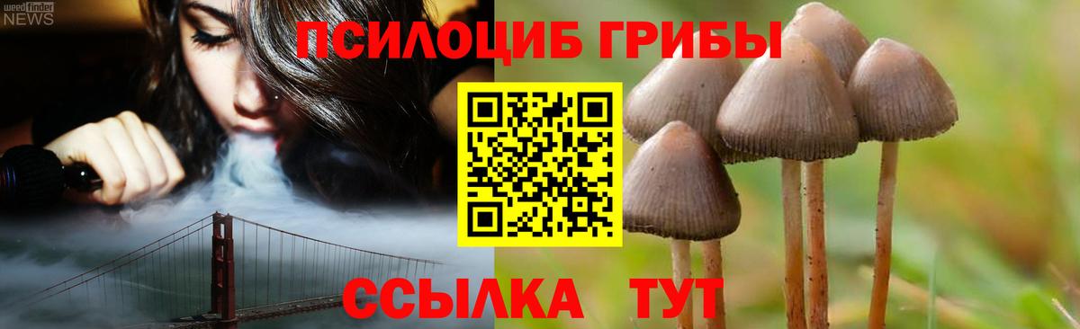 Галлюциногенные грибы Cubensis  Вход с VPN  Мелеуз 